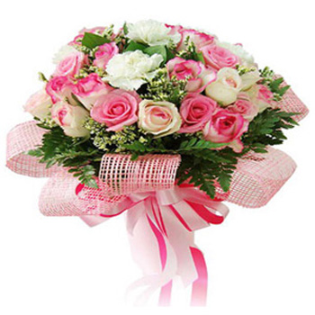 Pink and White Dutch Roses - Assorted