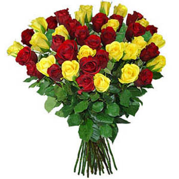 Assorted Dutch Roses Bouquet